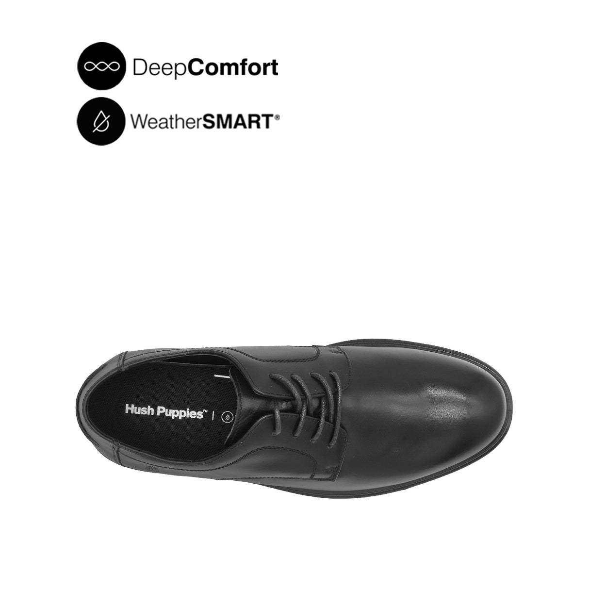 Napoleon Lace Up Plain Toe Men's Shoes -Black Leather Waterproof
