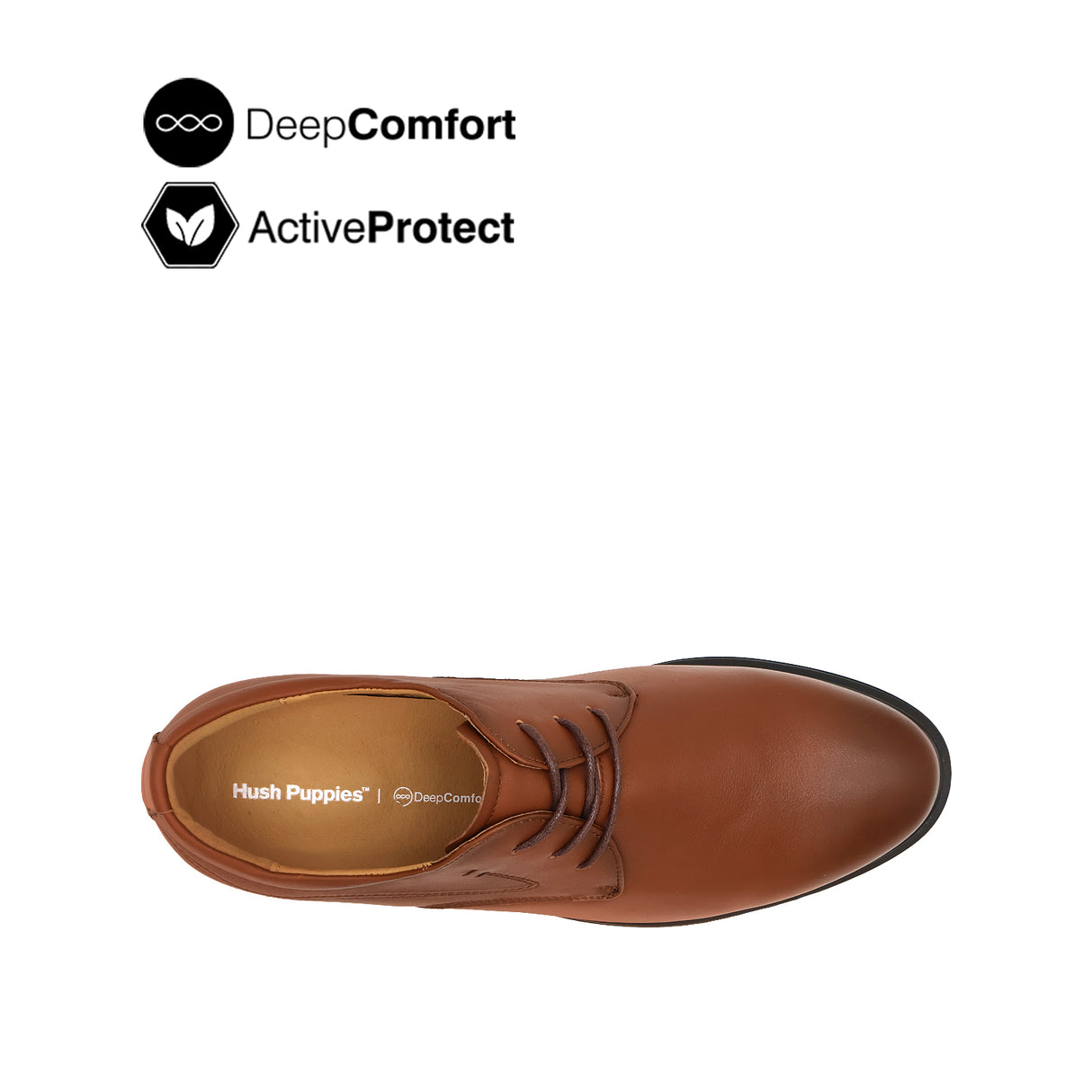 Nathan Lace Up Plain Toe Men's Shoes - Brown Leather